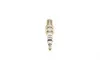 Свічка запалювання Citroen Berlingo/C2/C3 1.1-1.8 96-11/Dacia Dokker/Logan/Sandero 1.4/1.6 08- BOSCH 0242232502 (фото 10)