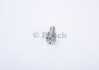 Розпилювач BOSCH 0 433 171 237 (фото 2)
