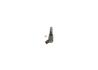 Форсунка дизель відновлена Renault Scenic II 03-09, Renault Megane II 03-09 BOSCH 0445110280 (фото 2)