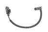 Датчик положения распредвала Citroen Berlingo/Jumpy/Peugeot Expert/Partner 1.6 HDi 07- BOSCH 0 986 280 760 (фото 1)