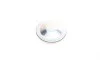 Диск гальмівний (задній) Renault Laguna II/Scenic II (274x11) (+ABS) з підшипником BOSCH 0 986 479 273 (фото 10)