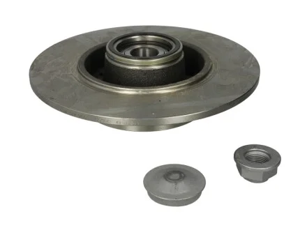 Диск гальмівний (задній) Renault Megane III/Scenic III 08- (260x8)(з підшипником)(+ABS) BOSCH 0986479761