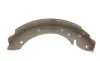 Колодки тормозные (задние) Renault Scenic/Megane/Laguna 95-03 (барабанные) (228x42) BOSCH 0986487528 (фото 3)