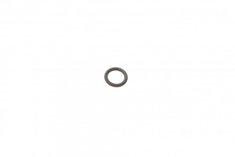 Уплотнительное кольцо BOSCH 1 928 300 718 (фото 1)