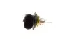 Автолампа HIR2 12V 55W PX22d Pure Light BOSCH 1 987 302 026 (фото 3)