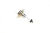 Автолампа H7 12V 55W PX26d Xenon Blue BOSCH 1 987 302 075 (фото 8)