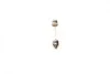 Автолампа C18W 12V 18W SV8.5-8 Pure Light (15.5x41) BOSCH 1 987 302 229 (фото 3)