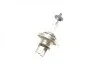 Автолампа H4 24V 75/70W P43t Trucklight Maxlife BOSCH 1 987 302 742 (фото 3)