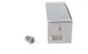 Автолампа P21W 12V 21W BA15s Eco BOSCH 1987302811 (фото 1)