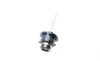Автолампа D4S 42V 35W P32d-5 Xenon 4200K BOSCH 1 987 302 906 (фото 10)