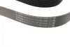 Ремінь генератора BMW 5 (F10/F11)/X3 (F25) 2.5/3.0i 09-13 (N52/N53) (8PK1786) BOSCH 1 987 945 705 (фото 9)