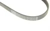 Ремень генератора Ford Focus 2.5 ST 05-12/Mitsubishi Lancer 1.5/1.6 08- (5PK895) BOSCH 1 987 945 715 (фото 5)