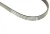 Ремень генератора Ford Focus 2.5 ST 05-12/Mitsubishi Lancer 1.5/1.6 08- (5PK895) BOSCH 1 987 945 715 (фото 8)