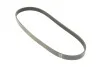 Ремень генератора Ford Focus 2.5 ST 05-12/Mitsubishi Lancer 1.5/1.6 08- (5PK895) BOSCH 1 987 945 715 (фото 9)