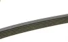 Ремень генератора MB C-class (W203) 00-08 (6PK2190) BOSCH 1 987 945 725 (фото 4)