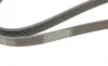 Ремень генератора Peugeot 206/Partner/Citroen Berlingo 1.1-1.6 02-/VW Fox/Polo 1.2 02-14 (6PK1453) BOSCH 1 987 945 728 (фото 4)