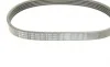 Ремень генератора VW Golf V/Passat/Touran 1.4TSI 05-/Skoda Fabia 1.4 TSI RS 10-14 (5PK491) BOSCH 1 987 945 731 (фото 5)