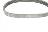Ремень генератора VW Golf V/Passat/Touran 1.4TSI 05-/Skoda Fabia 1.4 TSI RS 10-14 (5PK491) BOSCH 1 987 945 731 (фото 7)