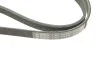 Ремінь генератора Mitsubishi Lancer/Galant 1.3-2.0 92-13/VW Jetta 2.5 06-10/Audi A3/Q3 11- (5PK1060) BOSCH 1987945903 (фото 5)