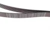 Ремень генератора MB C-class (W202) 2.0 95-01 (6PK1863) BOSCH 1 987 945 983 (фото 2)