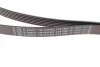 Ремень генератора MB C-class (W202) 2.0 95-01 (6PK1863) BOSCH 1 987 945 983 (фото 6)
