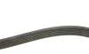 Ремінь генератора VW Caddy 1.9D/SDI -03 (6PK1038) BOSCH 1 987 946 000 (фото 1)