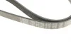 Ремінь генератора VW Caddy 1.9D/SDI -03 (6PK1038) BOSCH 1 987 946 000 (фото 4)