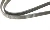 Ремень генератора Toyota Avensis/Corolla 2.0D-4D 04-09 (5PK1250) BOSCH 1 987 946 001 (фото 4)