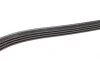 Ремінь генератора Renault Clio/Kangoo 1.4i/1.6 98-03 (4PK1238) BOSCH 1 987 946 003 (фото 3)
