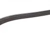 Ремінь генератора Renault Clio/Kangoo 1.4i/1.6 98-03 (4PK1238) BOSCH 1 987 946 003 (фото 6)