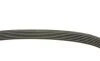 Ремень генератора Audi A8 3.0i 03-06/Lexus GS/IS 3.0/3.5 00-11/Ford Fiesta 1.25-1.6 94-02 (6PK1930) BOSCH 1 987 946 005 (фото 3)