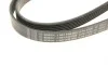 Ремень генератора Audi A8 3.0i 03-06/Lexus GS/IS 3.0/3.5 00-11/Ford Fiesta 1.25-1.6 94-02 (6PK1930) BOSCH 1 987 946 005 (фото 5)