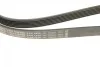 Ремень генератора Audi A8 3.0i 03-06/Lexus GS/IS 3.0/3.5 00-11/Ford Fiesta 1.25-1.6 94-02 (6PK1930) BOSCH 1 987 946 005 (фото 7)