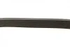 Ремінь генератора Peugeot Partner 1.8/VW Caddy 1.4/1.6 (ALT) 95-04 (6PK751) BOSCH 1 987 946 006 (фото 6)