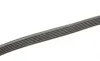 Ремень генератора BMW 3 (E46)/Audi A6 1.8i/2.7i 00- (6PK1733) BOSCH 1 987 946 012 (фото 3)