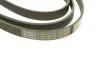 Ремень генератора Audi A4/A5/A6 3.0 TDI/3.2 FSI 05-/ MB E-class (W124/S124) 2.8-3.0T 93-96 (6PK2415) BOSCH 1 987 946 016 (фото 3)