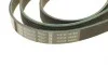 Ремень генератора Audi A4/A5/A6 3.0 TDI/3.2 FSI 05-/ MB E-class (W124/S124) 2.8-3.0T 93-96 (6PK2415) BOSCH 1 987 946 016 (фото 4)