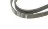 Ремень генератора VW LT 2.8TDI (-AC) (6PK1635) BOSCH 1 987 946 019 (фото 4)