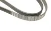 Ремень генератора VW LT 2.8TDI (-AC) (6PK1635) BOSCH 1 987 946 019 (фото 5)