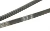 Ремень генератора VW Passat 1.9TDI 96-00/Audi A4/A6 1.9TDI 95-01 (5PK1592) BOSCH 1 987 946 022 (фото 4)