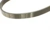 Ремінь генератора VW Caddy/Golf 1.9-2.0 TDI 03-10/Peugeot Boxer 2.8HDi 00- (6PK950) BOSCH 1 987 946 024 (фото 4)