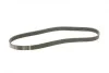 Ремінь генератора VW Caddy/Golf 1.9-2.0 TDI 03-10/Peugeot Boxer 2.8HDi 00- (6PK950) BOSCH 1 987 946 024 (фото 8)