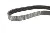 Ремень генератора Nissan Micra 1.0-1.4i 16V 92-03 (6PK675) BOSCH 1 987 946 025 (фото 7)