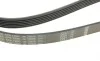 Ремінь генератора BMW 3 (E90)/5 (E60)/7 (E65/E66/E67)/X5 (E70) 04-11 (6PK1990) BOSCH 1 987 946 028 (фото 5)