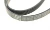Ремінь генератора BMW 3 (E90)/5 (E60)/7 (E65/E66/E67)/X5 (E70) 04-11 (6PK1990) BOSCH 1 987 946 028 (фото 6)