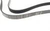 Ремень генератора Renault Scenic 1.9 dCi 99-03 (6PK1600) BOSCH 1 987 946 029 (фото 2)
