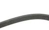Ремень генератора VW LT 2.5TDI 96-01/Peugeot Expert 1.9D/2.0HDI 98- (6PK1755) BOSCH 1 987 946 030 (фото 3)
