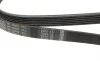 Ремень генератора MB W202/210 M111/Ford Transit 2.301-06 (6PK1775) BOSCH 1 987 946 035 (фото 4)