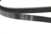Ремень генератора MB W202/210 M111/Ford Transit 2.301-06 (6PK1775) BOSCH 1 987 946 035 (фото 8)