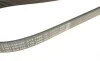 Ремень генератора Ford Focus 1.4/1.6 98-05/Toyota Rav4 1.8 00-05/Daewoo Nubira 1.8/2.0 99- (6PK1890) BOSCH 1 987 946 039 (фото 4)